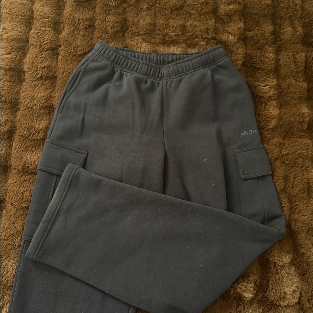 Aritzia Cargo Sweatpants